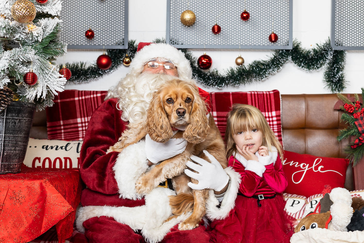 pet and kids photo with Santa kid and pet photos with Santa