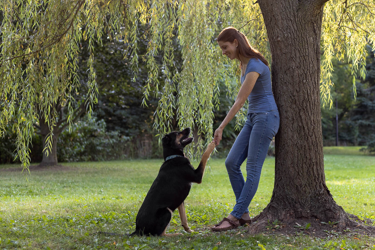 pet family photos pet family photo taken in Mississauga.