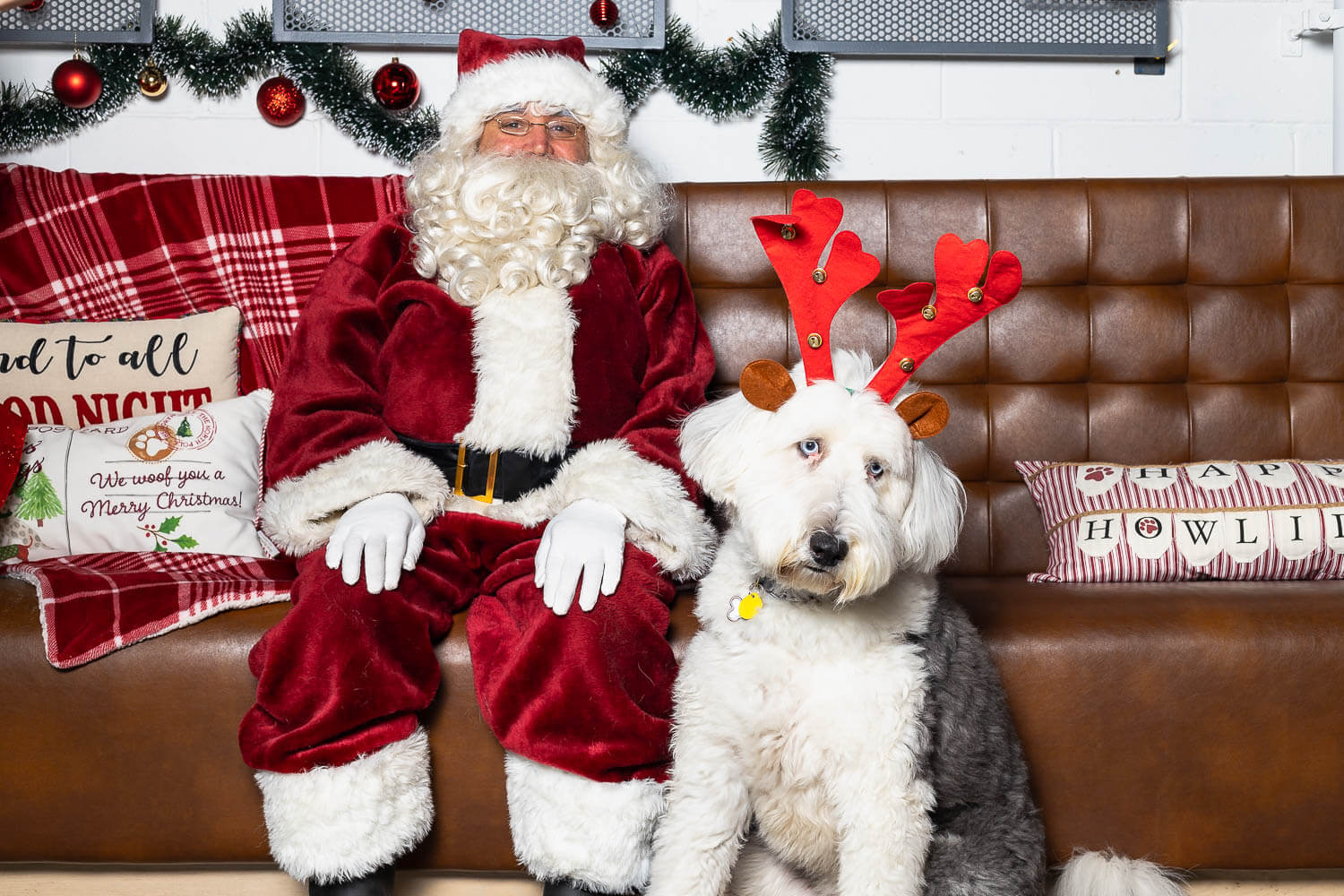 pet photoshoot with Santa pet photos with Santa