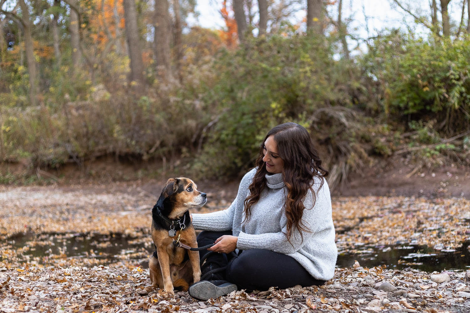 burlington pet and family photographer burltington dog photographer