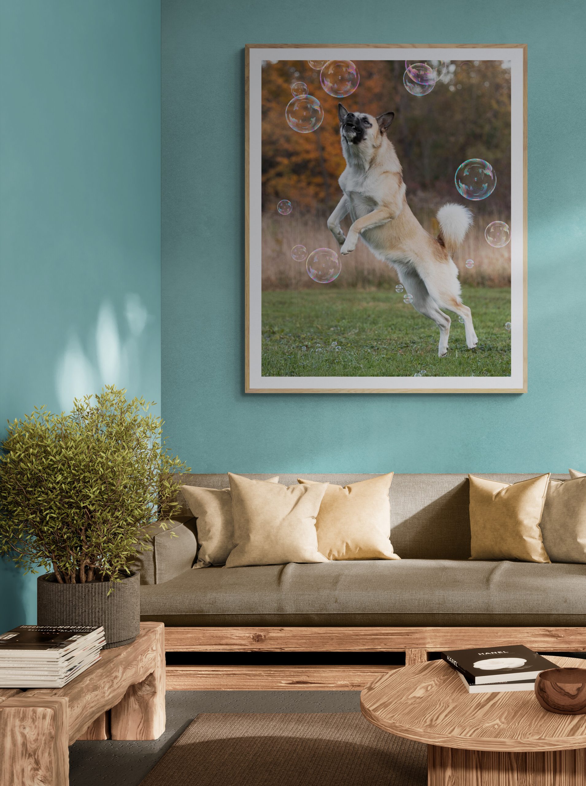 canovasphotography wall art canovas photograpy wall art from a dog photoshoot.