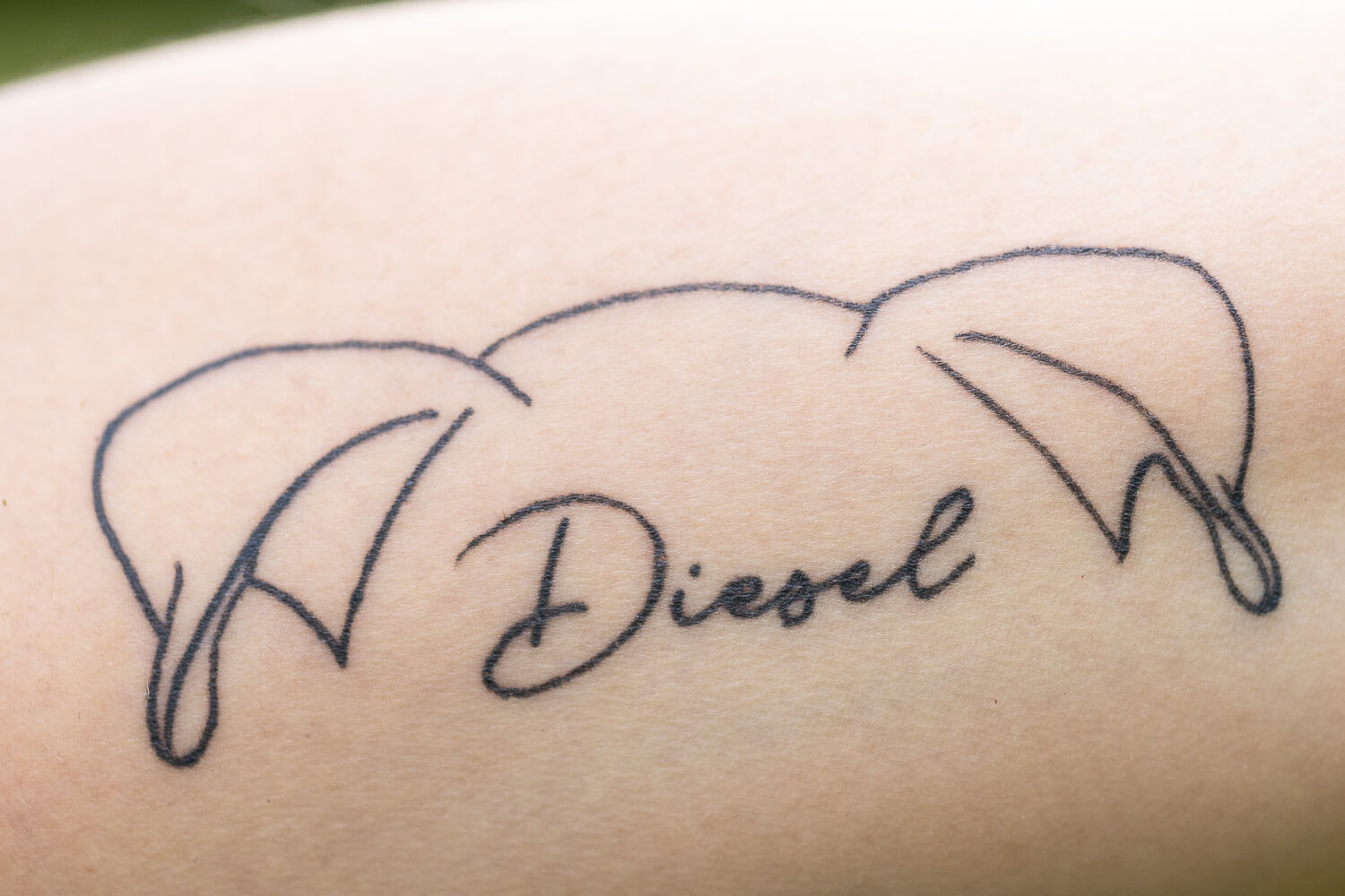 dog tattoo ideas a tribute to a dog