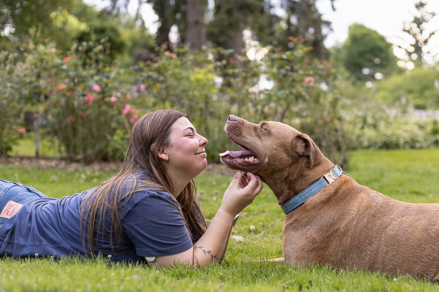 family and pet photography in Mississauga pet and family portrait taken in Mississauga.