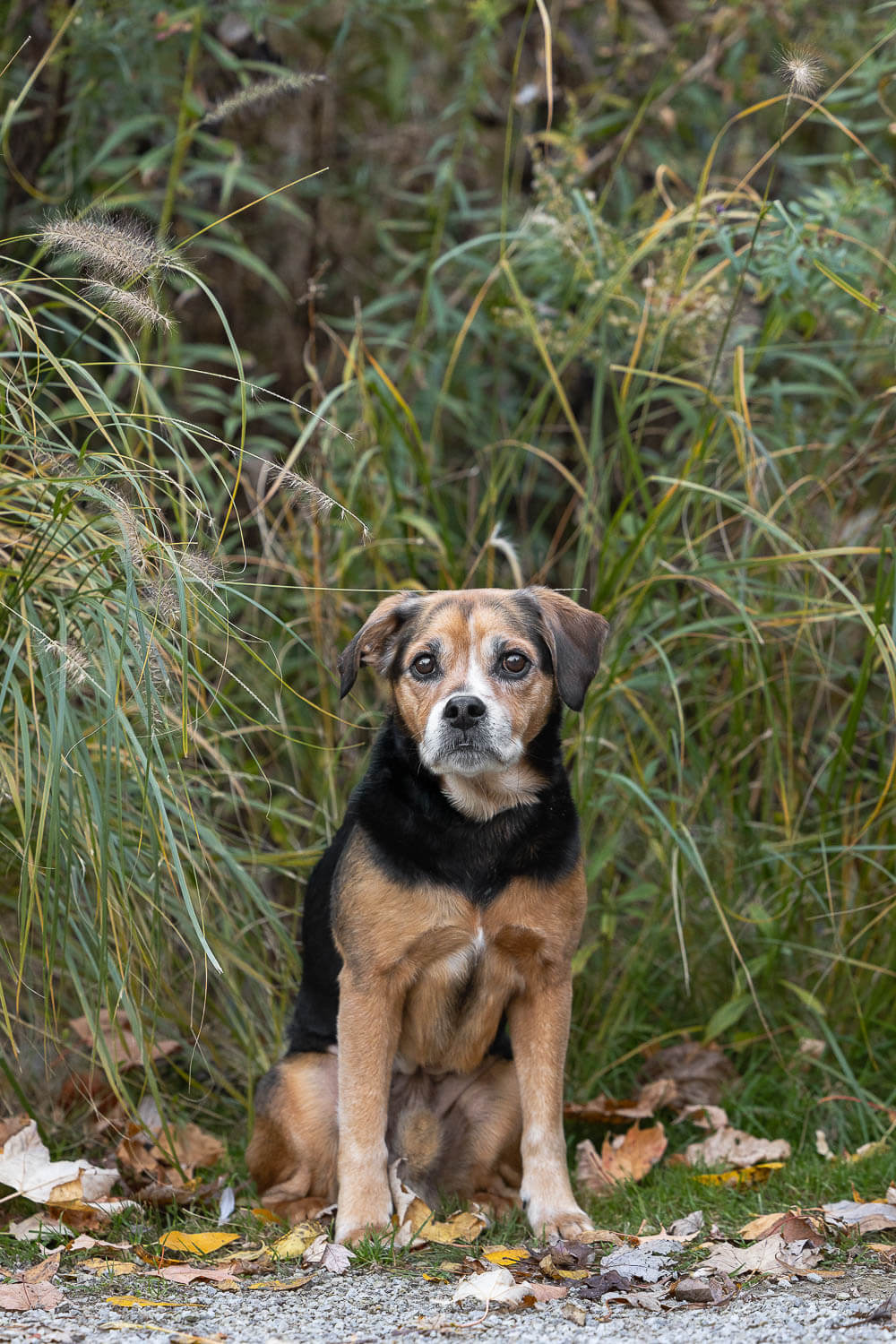 rainbow bridge session at Paletta Mansion
