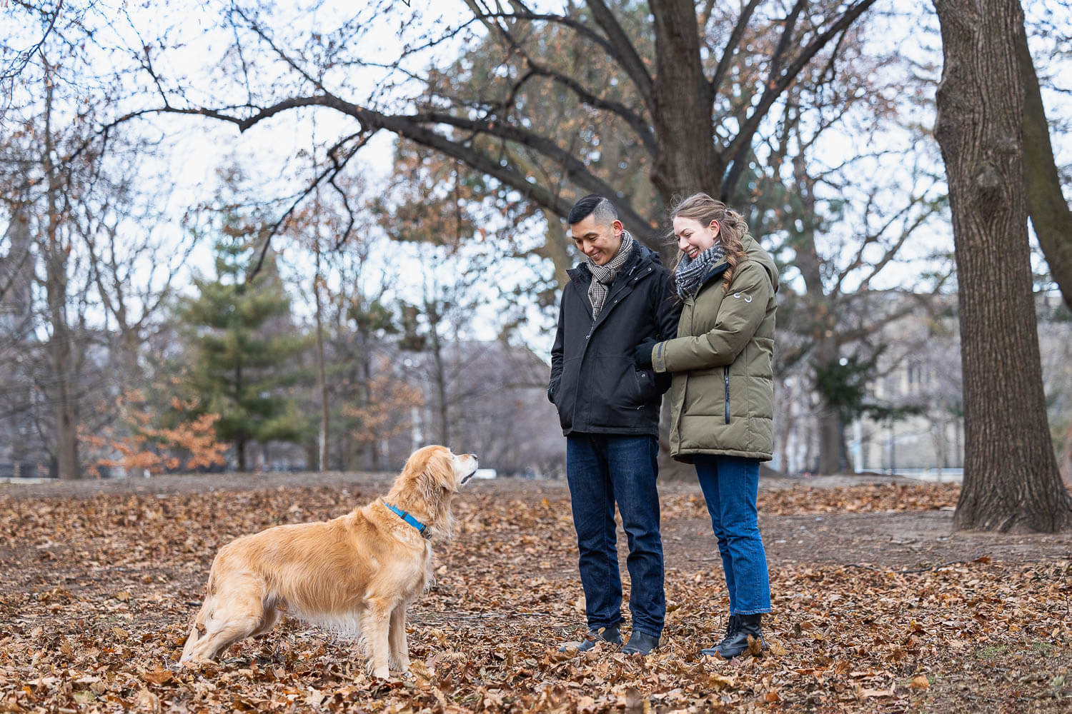 pet and family photoshoot in Toronto.