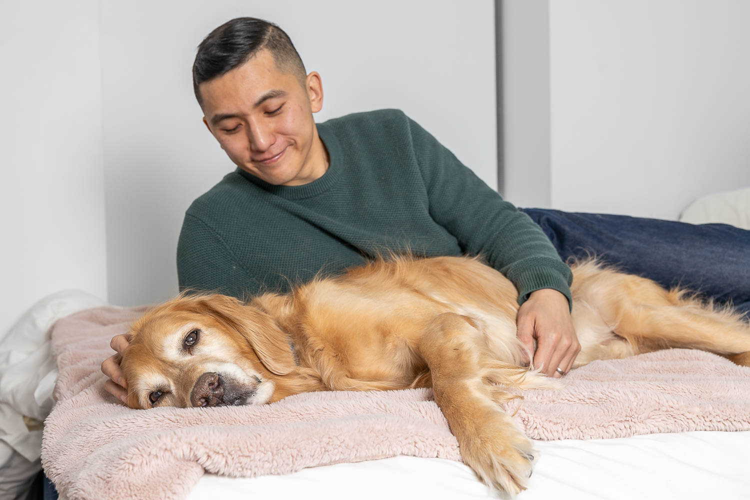 Toronto in home pet photoshoot session