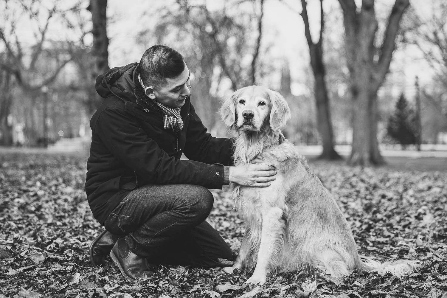 Toronto end of life pet photoshoot.