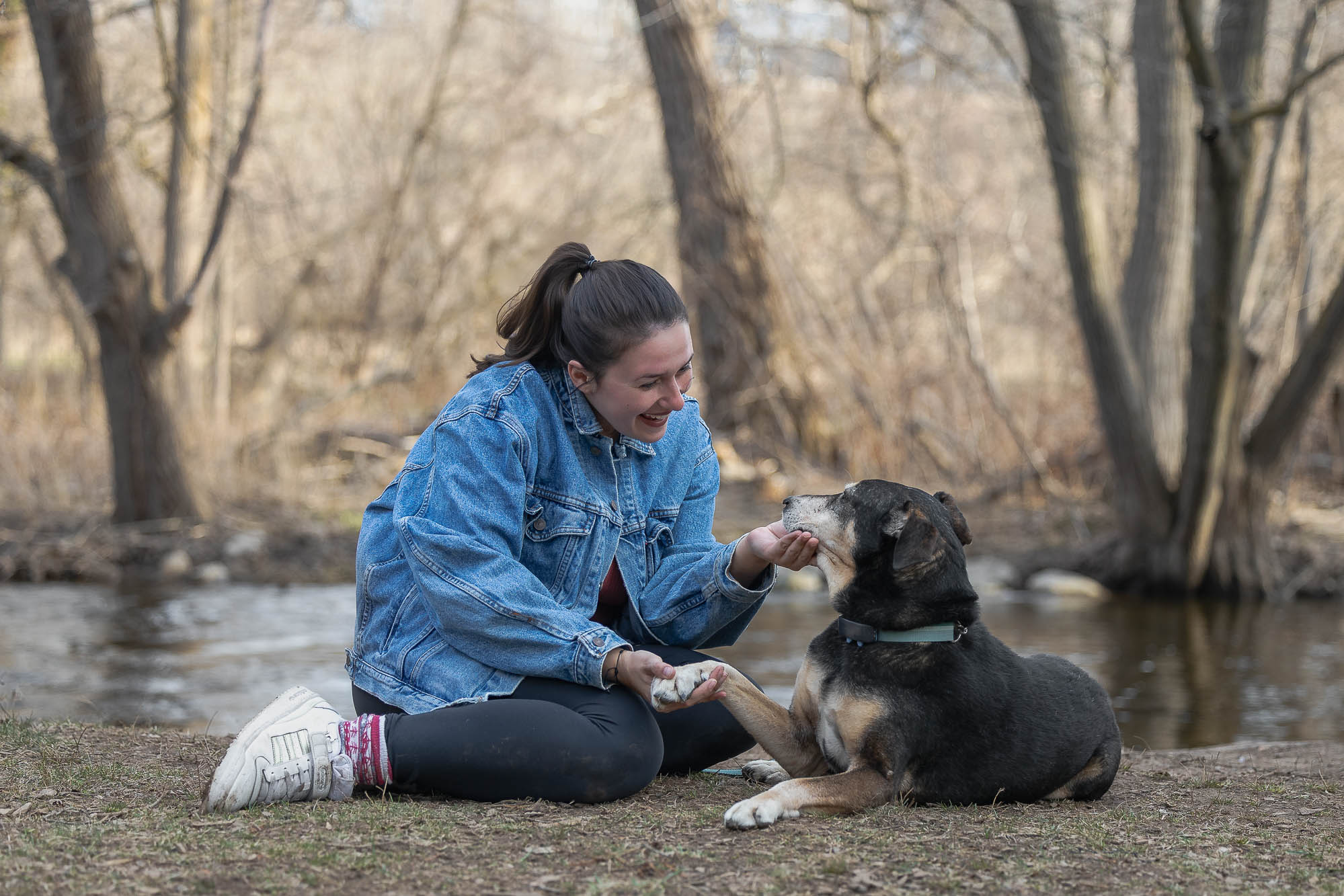 Evoto senior dog photoshoot at Lowville Park