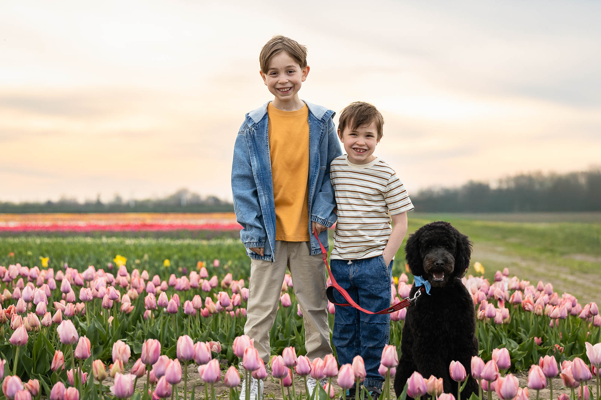 tasc tulip farm photoshoot kids photography at TASC