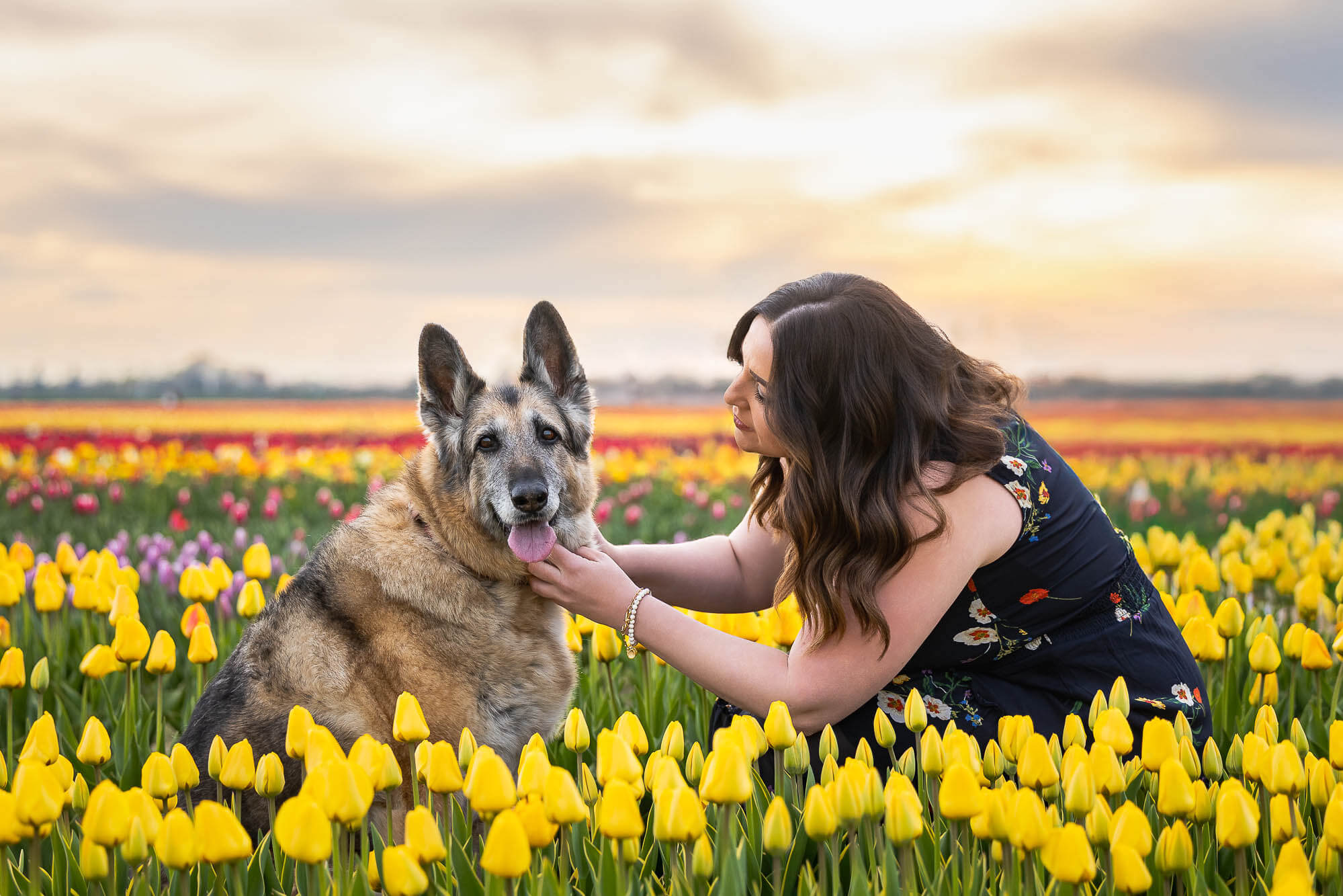 dog family photos at Tasc Tulip Farm pet and family photo taken at TASC by Niagara Pet Photographer