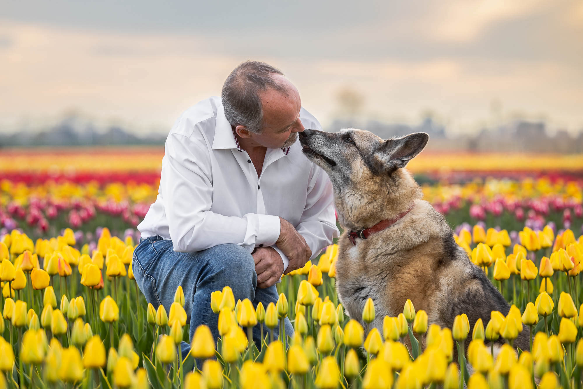 end of life pet photography dog and family end of life pet photoshoot at TASC