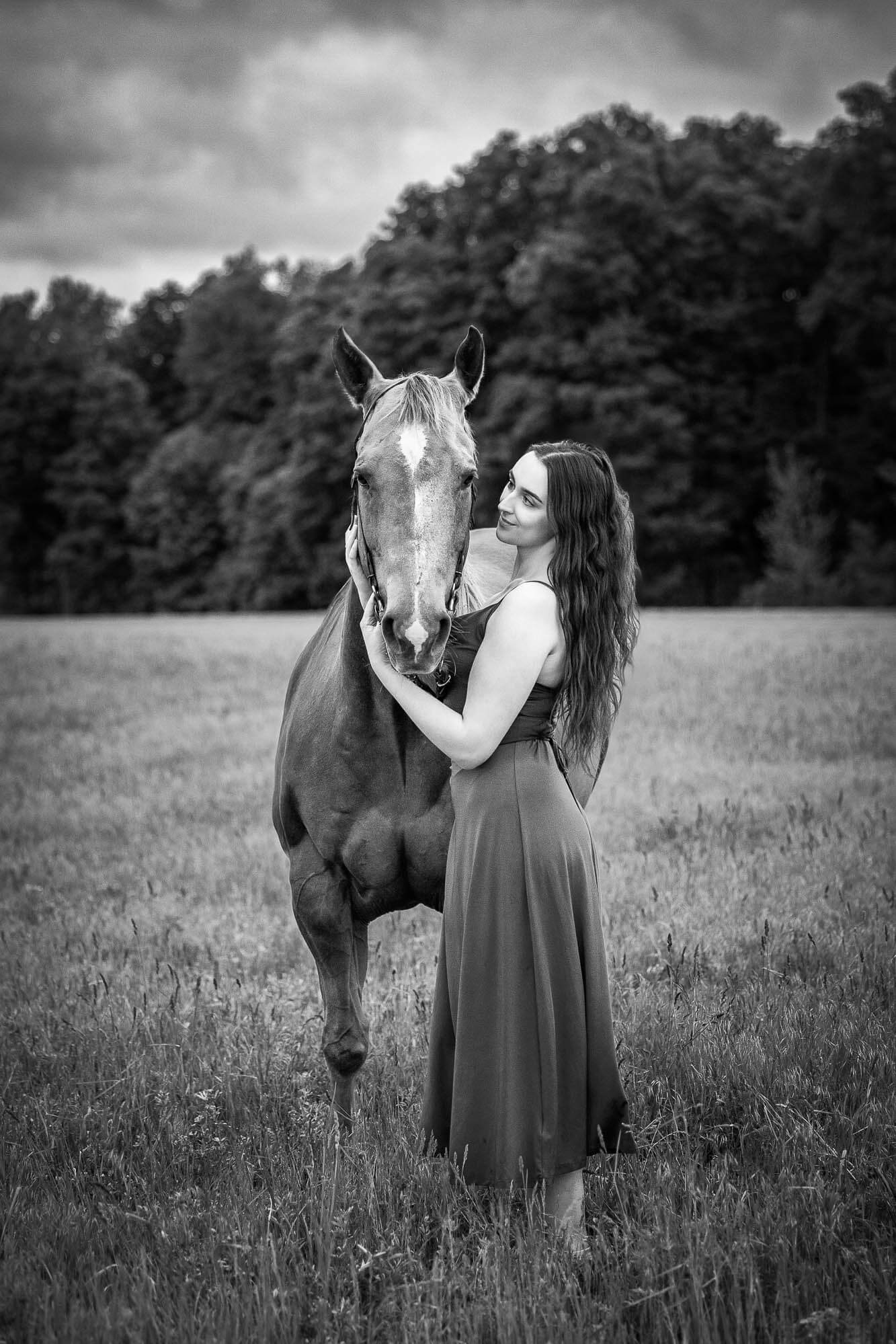 Cambridge Ontario Equine Photography Cambridge horse photographer