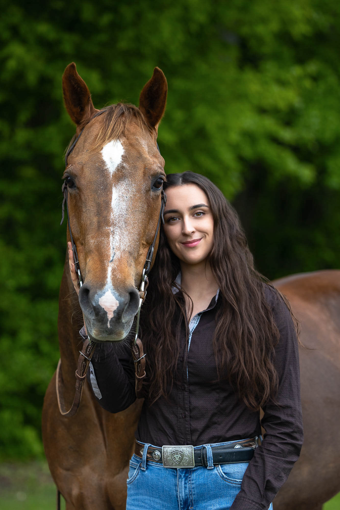 Cambridge horse photography ontario equine photographer