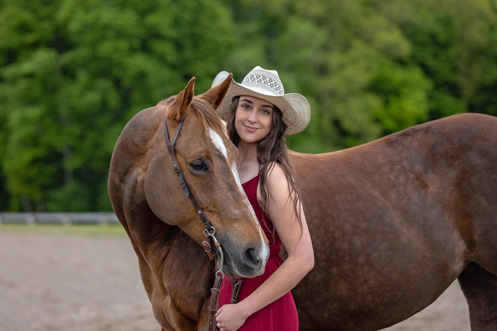 Equestrian photographer Cambridge ON equine photographer from Cambridge, Ontario.