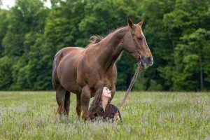 horse and rider photography taken in Cambridge