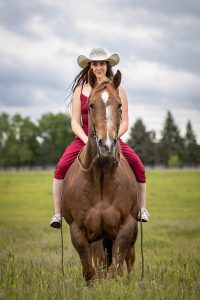 horse and a rider photography