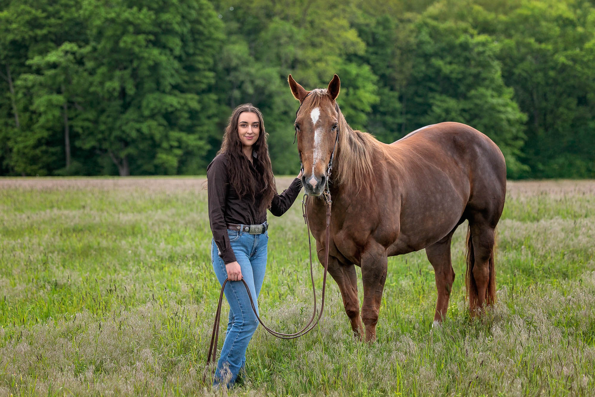 equine photography equine photoshoot in Cambridge