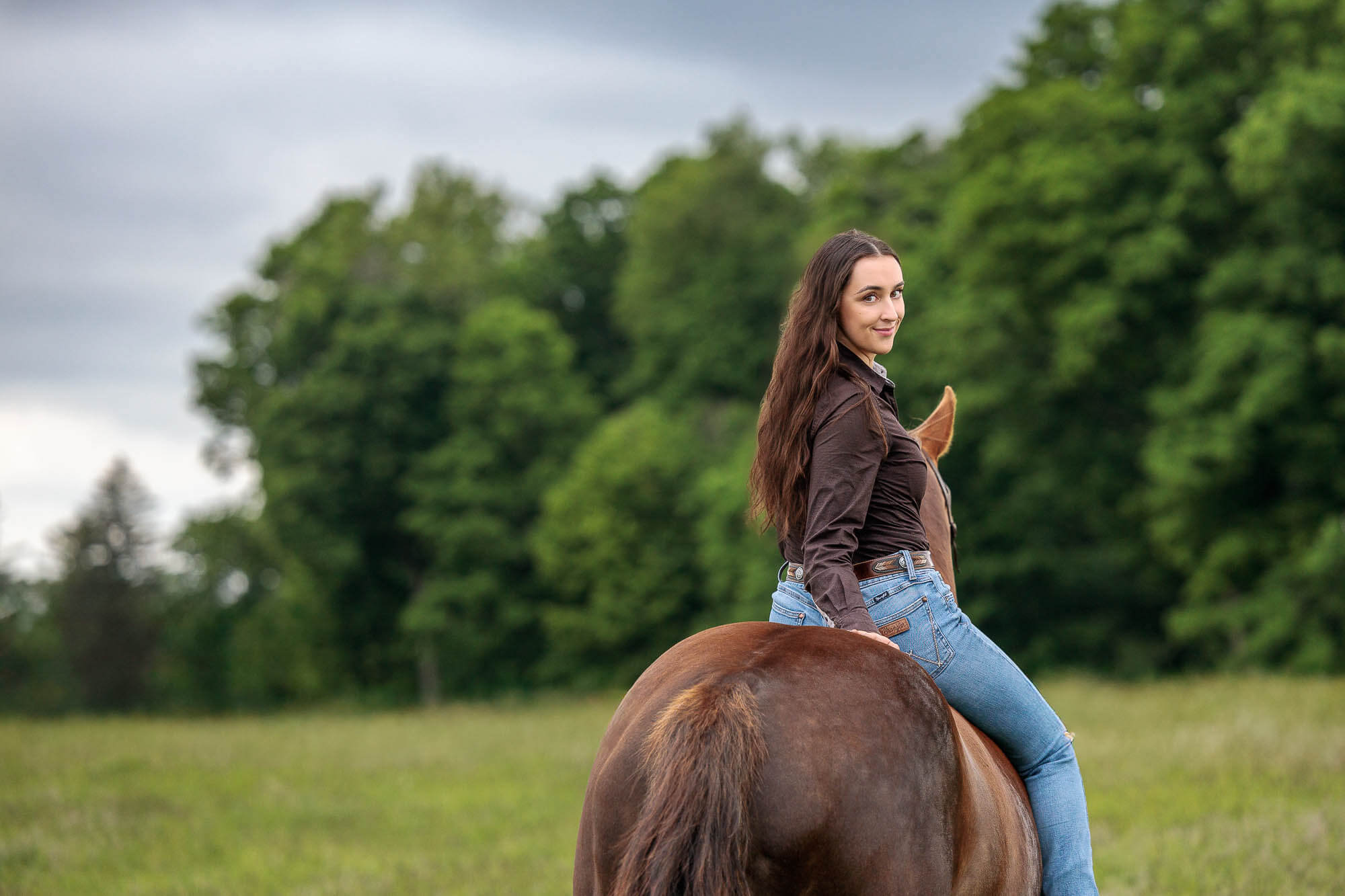 horse photography Cambridge horse photographer