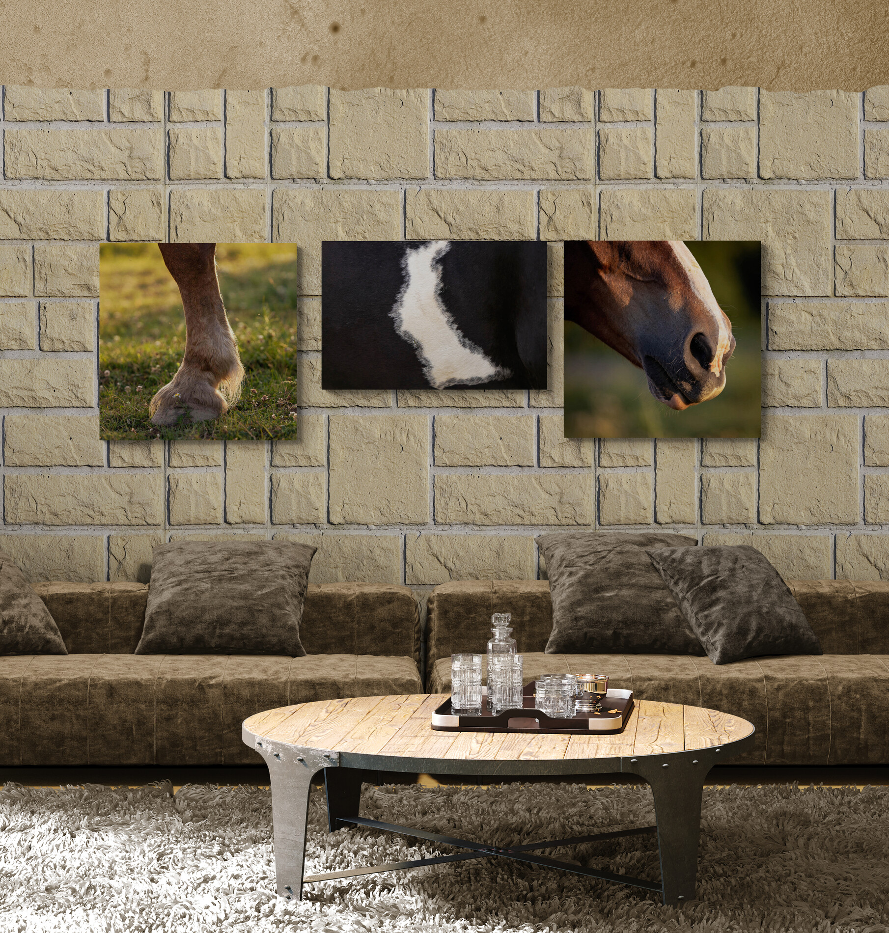 horse wall art in floatmount equine photography artwork