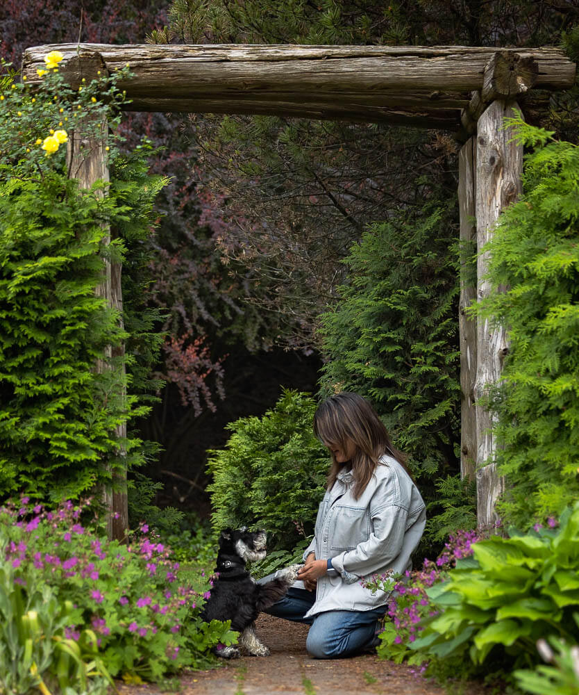 dog family picutres at alexander muir memorial gardens a family dog portrait taken in Toronto
