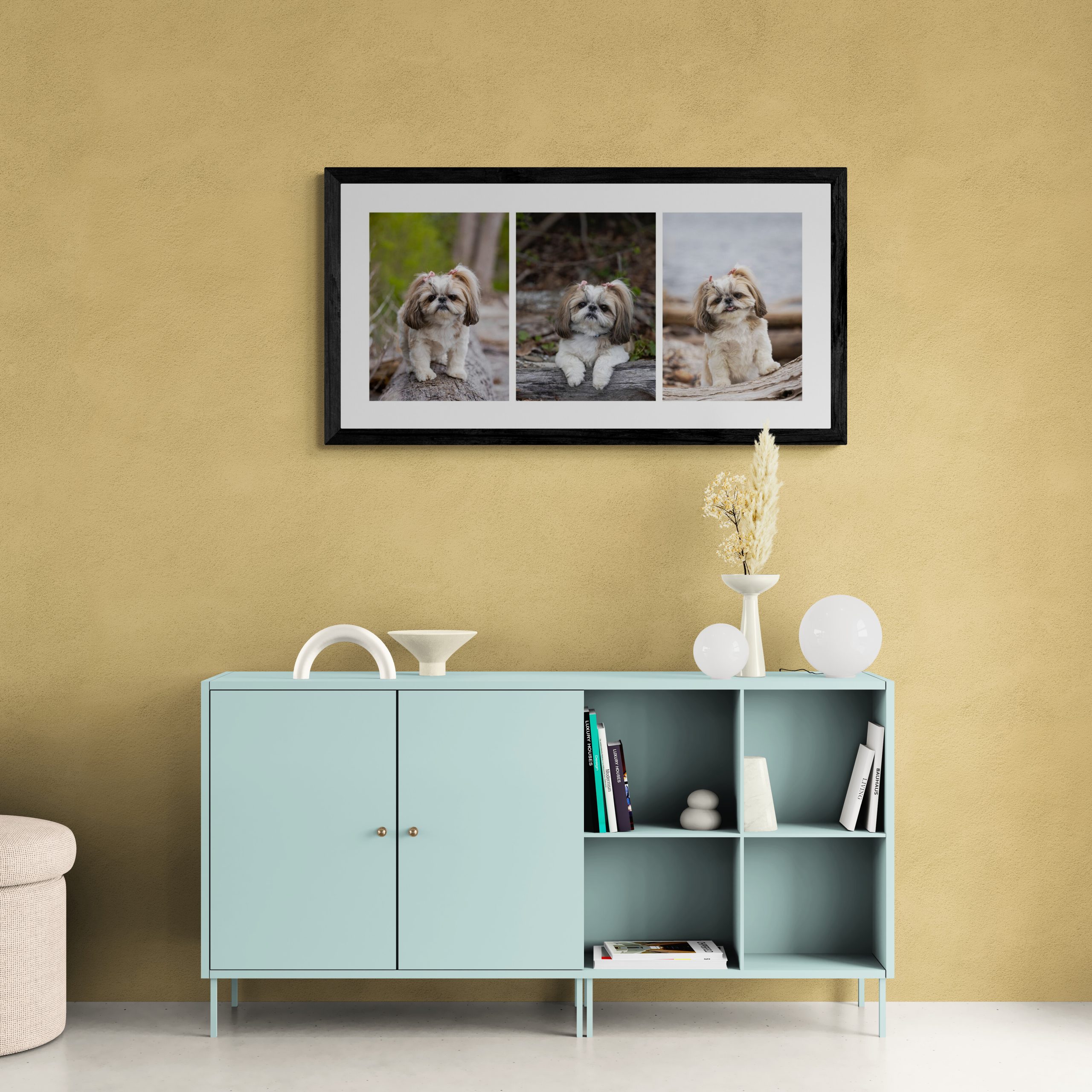 canovas photography artwork