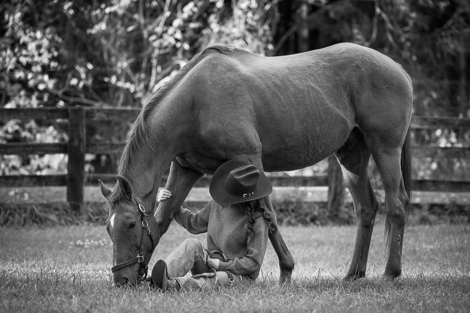 equine-photographer-troy-ontario-session outdoor horse photo session