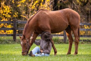 equine photoshoot at Blue Heron Equestrian during the fall