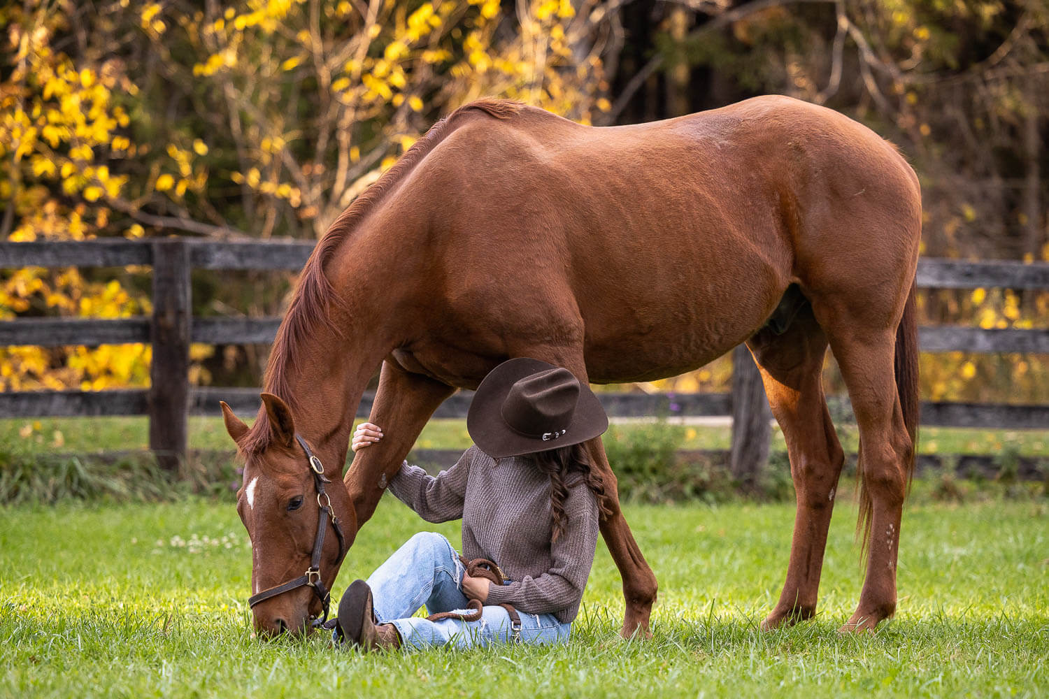 outdoor-horse-photography-ontario-fall. equine photoshoot at Blue Heron Equestrian during the fall