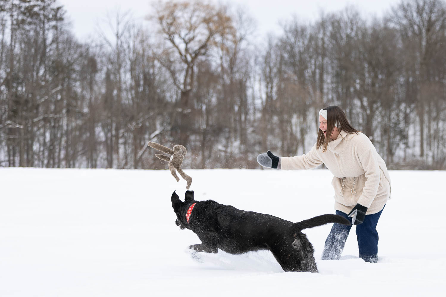 winter dog photography